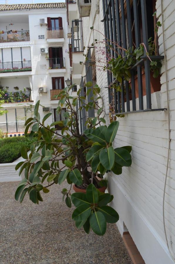 La Casa De Jose Manuel Appartement Sevilla Buitenkant foto